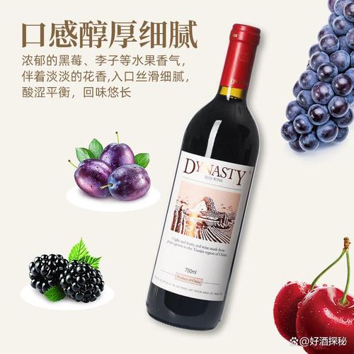 葡萄酒什么牌子的档次好又实惠,精选推荐优质佳酿让生活更精彩
